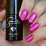 GL-S152 - Fuchsia Miracle